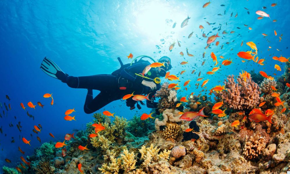 phu quoc-9